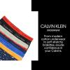imageCalvin Klein Boys Little Modern Cotton Assorted Briefs Underwear 3 PackBlack Iris  Blue Heather