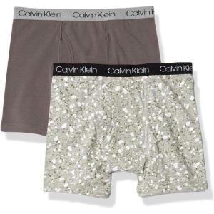 imageCalvin Klein Boys 2 Pack Boxer Briefs  Premium Cotton ComfortCrkGrymrb