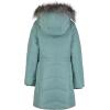 imageCalvin Klein Girls Hooded Winter Puffer Jacket FullLength Heavyweight Coat with Fleece LiningAerial Aqua