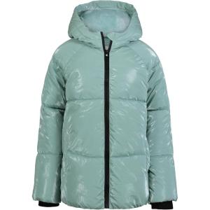 imageCalvin Klein Girls Short Length Hooded Winter Puffer Jacket with Fleece LiningAquifer Shine