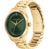 imageCalvin Klein Iconic Mens Quartz Watch  Gift for HimGreen