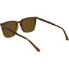 imageCalvin Klein Mens Ck25507s Square SunglassesStriped Brown
