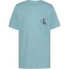 Blue Elixer Heather